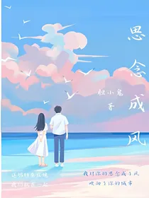 思念成为风
