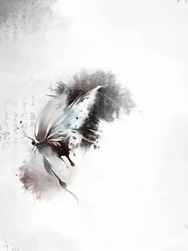 蓝盆花1