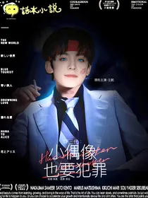 TF三代：小偶像也要犯罪