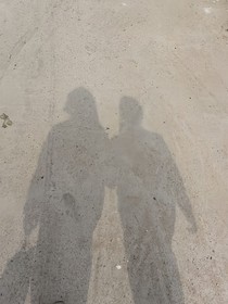 阳光下的雏菊之约