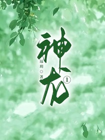神龙1
