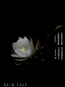 昙花祭梦