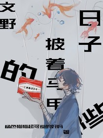 文野：那些披着马甲的日子