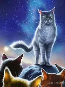 猫武士——弑之部落