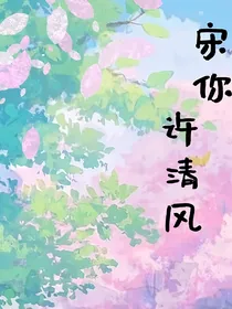 宋你许清风