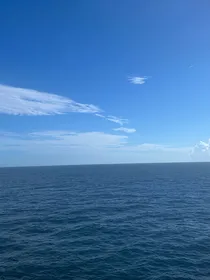 萧萧暮雨明