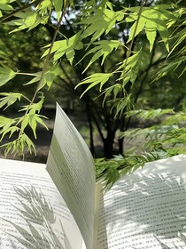 在锈蚀时光里吻你