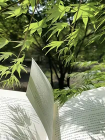 在锈蚀时光里吻你