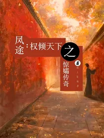 凤途：权倾天下之惊孀传奇