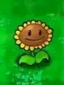 这帮植物有点憨二代版观影