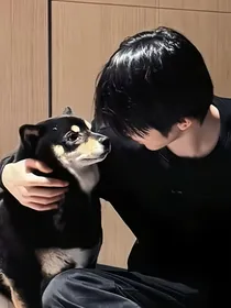 拒代