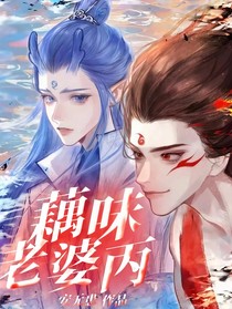 藕味老婆丙