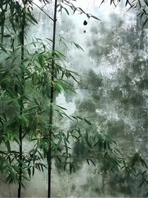 特种兵学校之双生