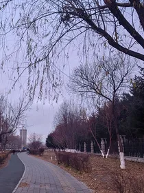 微风吹断时空