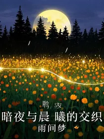 暗夜与晨曦的交织