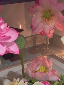 花中串珠（all吒）
