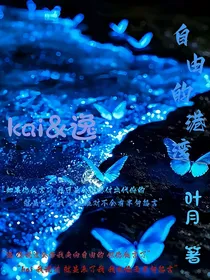 自由的港湾