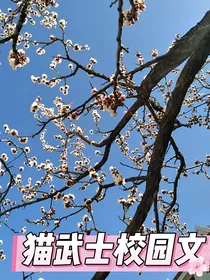 猫武士同人校园文