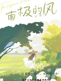 南极的风