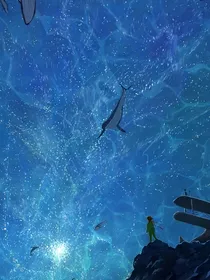 他和海我的心