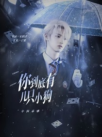 TOP：你到底有几只小狗