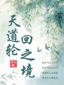 天道轮回之境