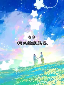 斗龙之对立面的正义