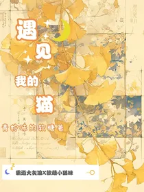 遇见我的猫