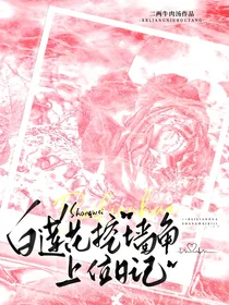 白莲花挖墙脚上位日记