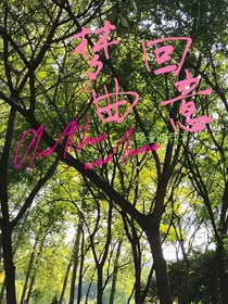 梦回曲意