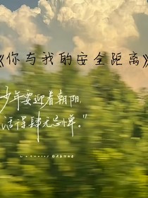 你与我的安全距离