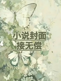 小说封面，接无偿
