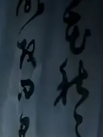殊渊，楠殷记
