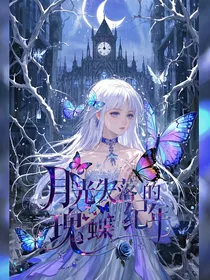月光失落的瑰蝶纪年