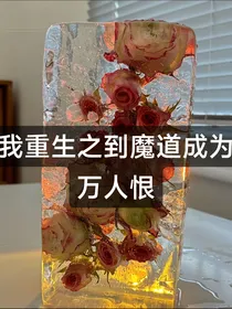 我重生之到魔道成为万人恨