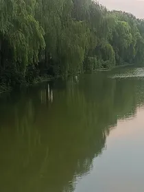 踏剑行
