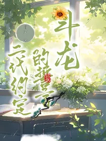 斗龙：二代的约定誓言