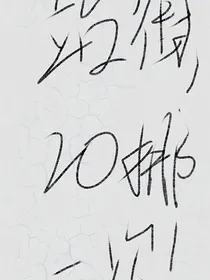 站街！20挪一次