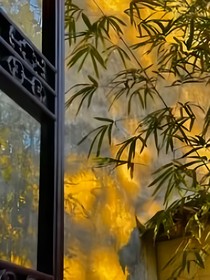 浮光跃金，静影沉璧