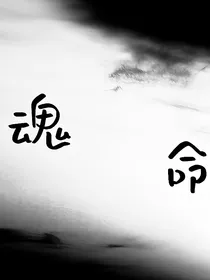盗笔：魂命