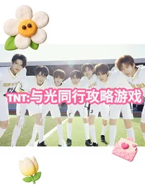 TNT：与光同行攻略游戏