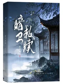 暗卫救赎