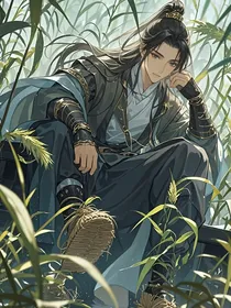 仙草鞋传奇