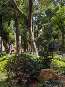 一觉起来，落入了音乐世界