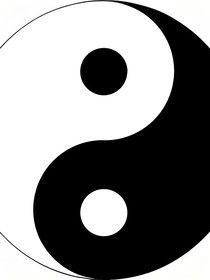 雨世界：两极太阴