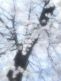 安眠于我