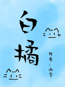 小猫白橘