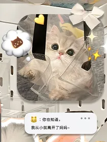 爱恋（恋综）