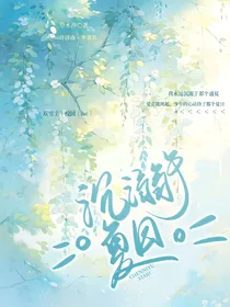 沉溺于夏日