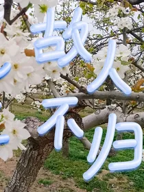 记录原创的小说片段